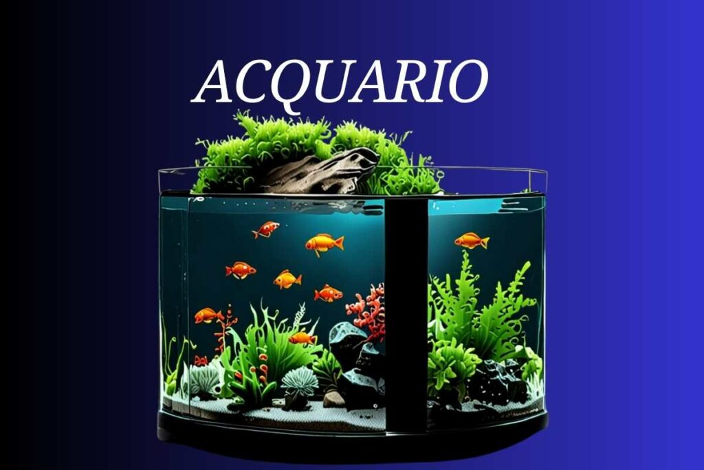 L'Acquario