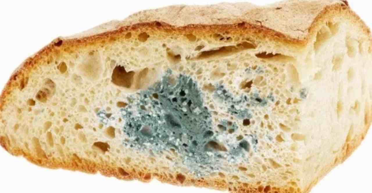 Attenzione a mangiare pane ammuffito: ecco cosa può accadere